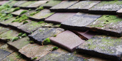 West Berkshire roof repair costs